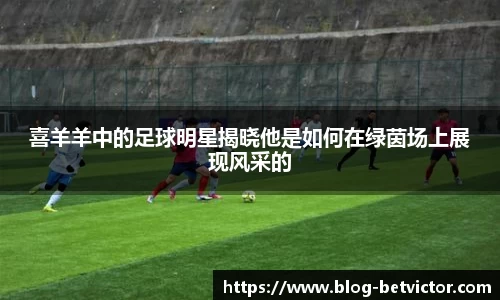 喜羊羊中的足球明星揭晓他是如何在绿茵场上展现风采的